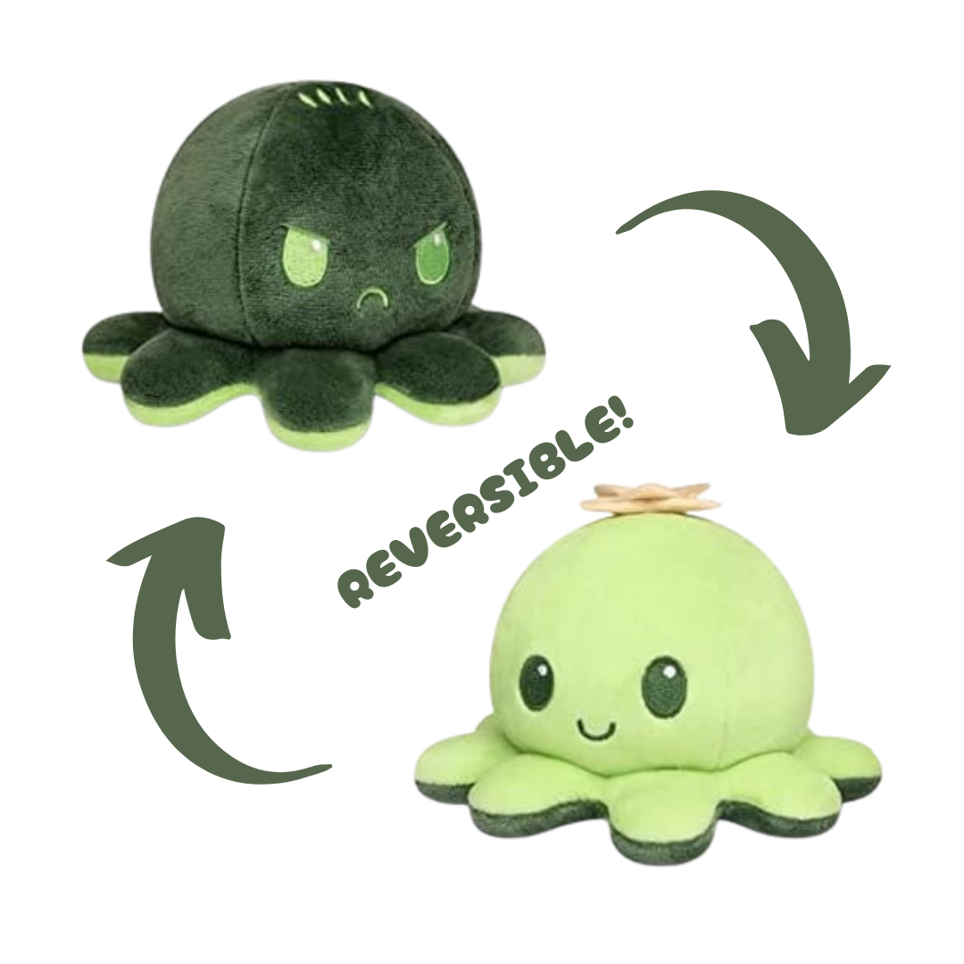 SUCCULENT & CACTUS OCTOPUS REVERSIBLE TOY