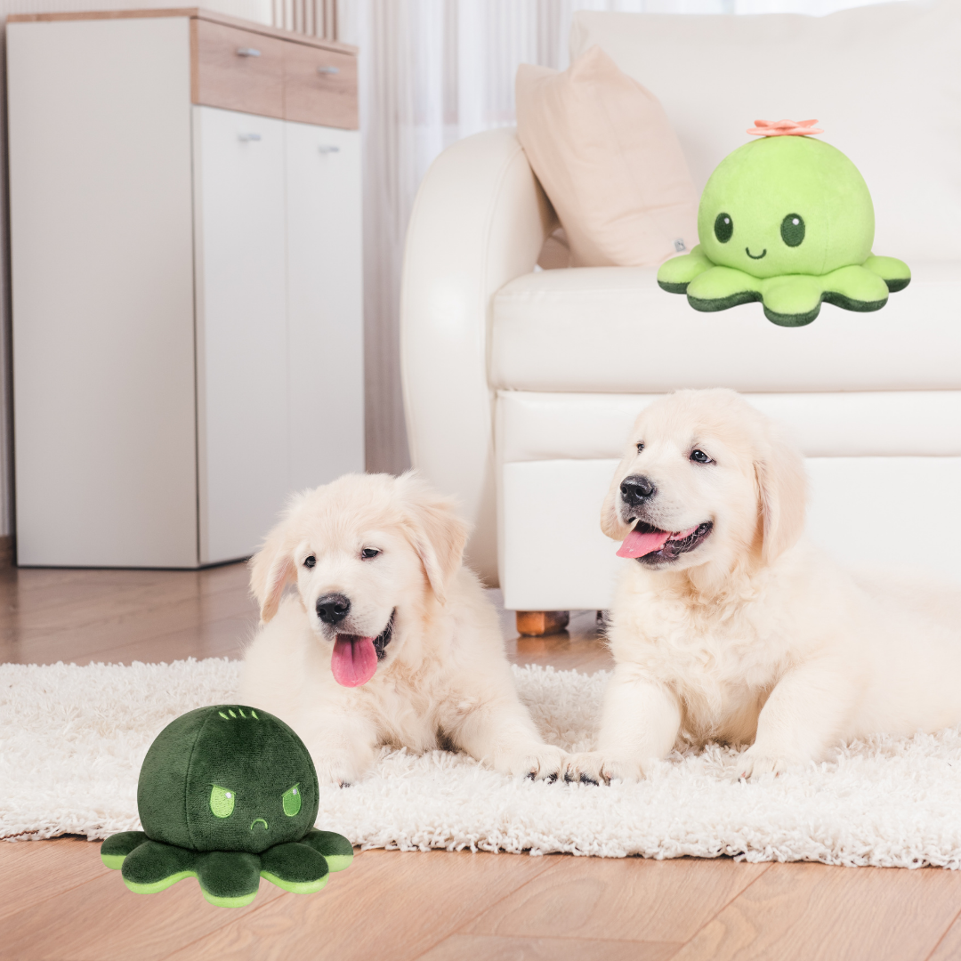 SUCCULENT & CACTUS OCTOPUS REVERSIBLE TOY