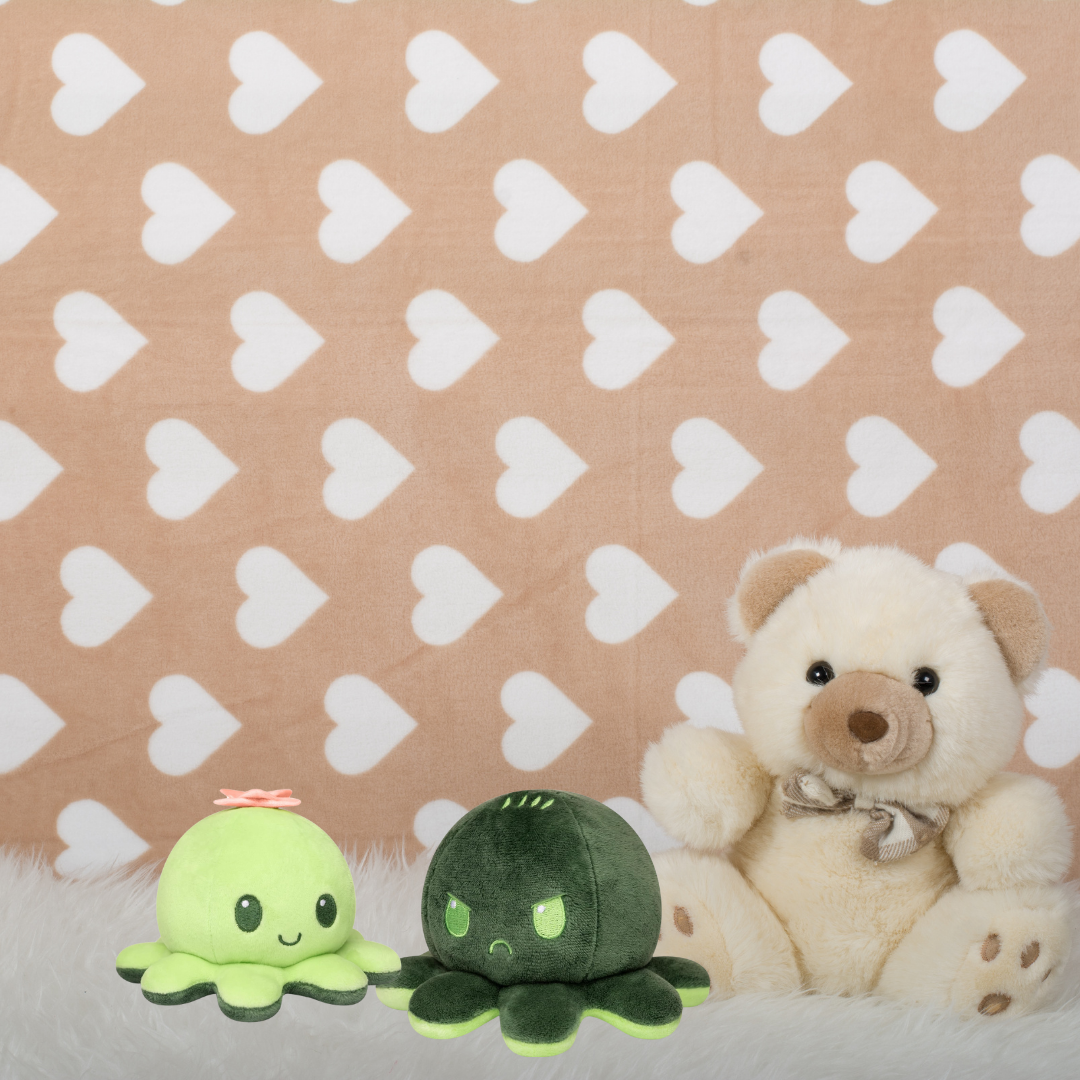 SUCCULENT & CACTUS OCTOPUS REVERSIBLE TOY