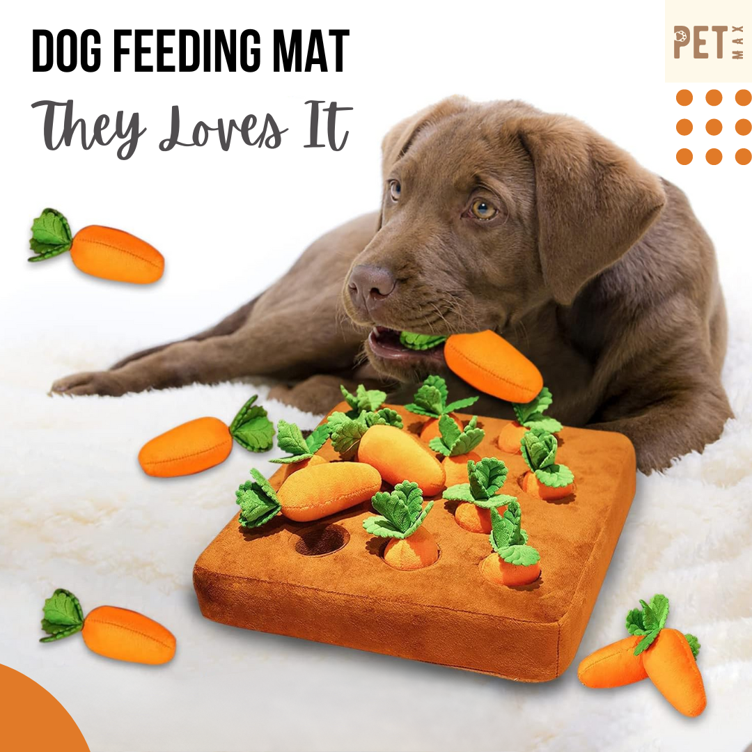 PETMAX Pet Snuffle Mat for Dogs, Stuffed Carrot Plush Feeding Snuffle Mat, Enrichment Pet Foraging mat for Smell Training and Slow Eating, Stress Relief, Dog Puzzle Toys for Small Medium Dogs