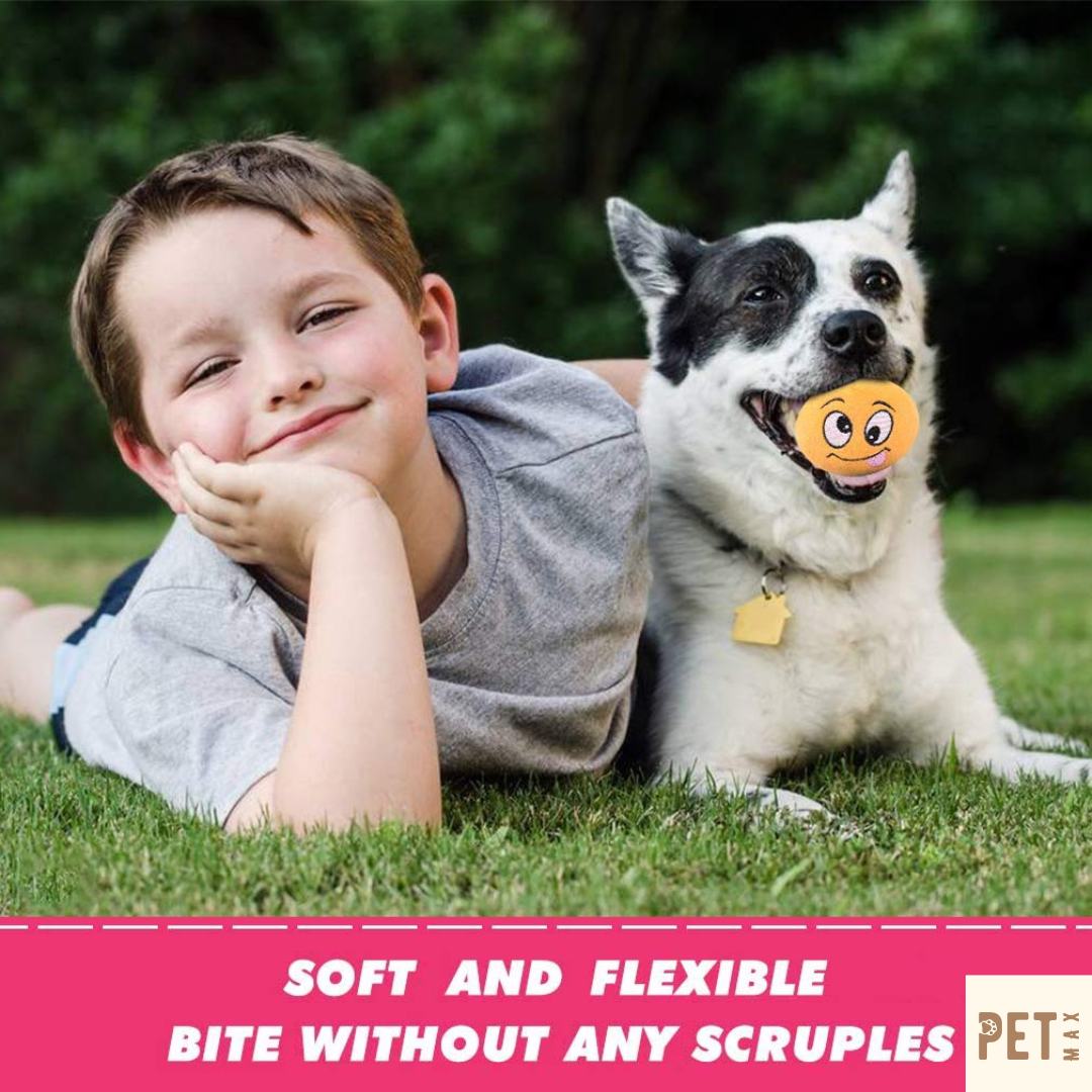 PETMAX Squeaky Dog Toys, Dog Squeaky Toys Plush Balls, Soft Stuffed Plush Balls with Squeakers, Interactive Fetch Play for Puppy Small Medium Pets