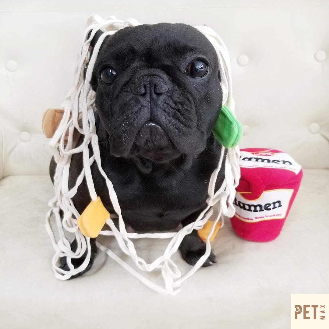 PETMAX Ramen Noodle Cup Dog Toy for Treat Dispensing and Nose Work, Interactive Dispensing Toys, Plush Food Hide and Sniff Toy for Small and Medium Breed Dogs and Puppies