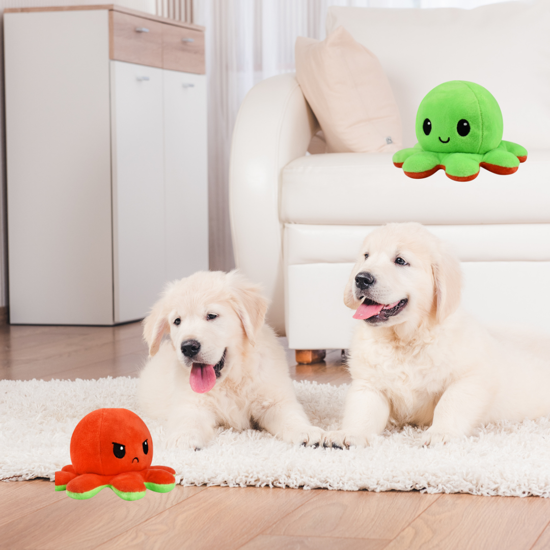 HAPPY GREEN & ANGRY RED REVERSIBLE PLUSH