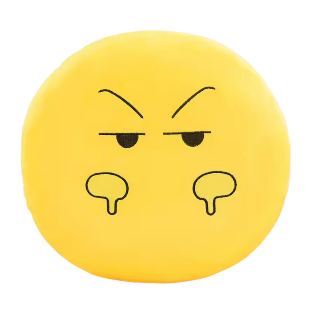 SMILEY PILLOW TWENTY TWO