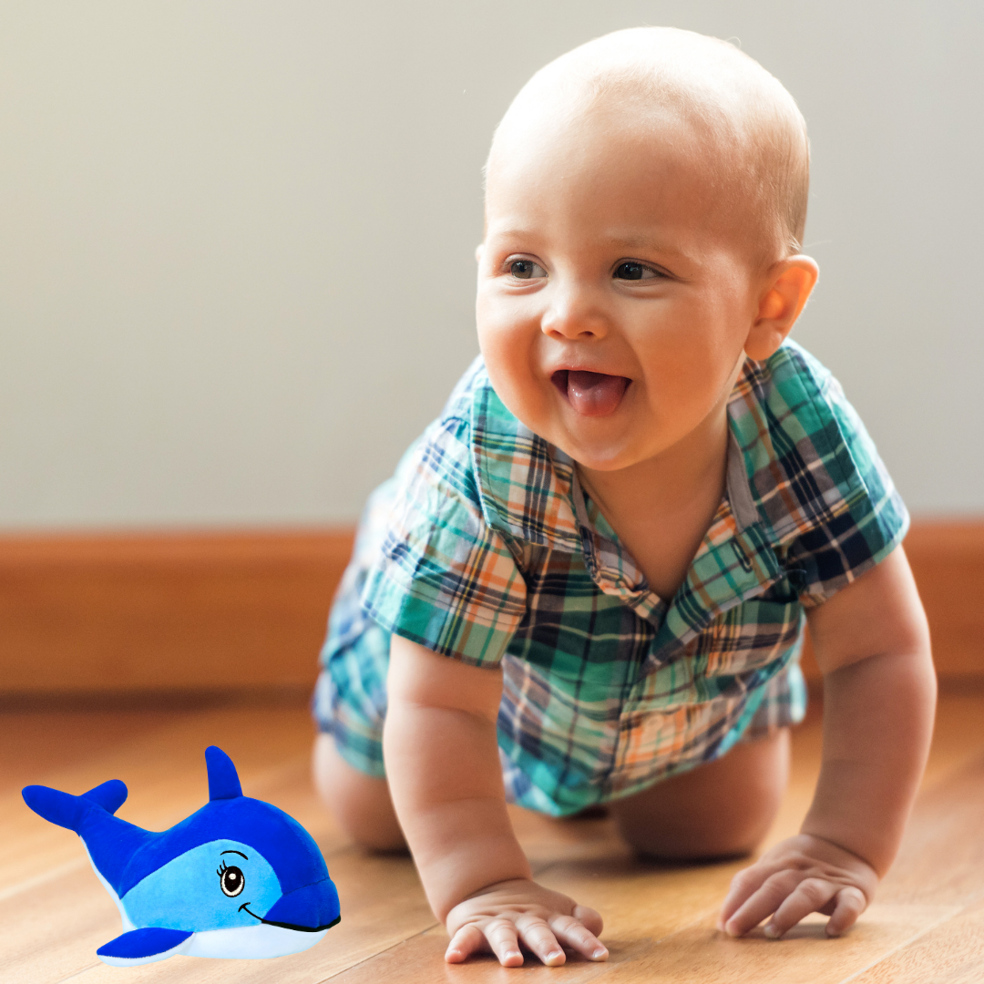 BLUE DOLPHIN PLUSH TOY