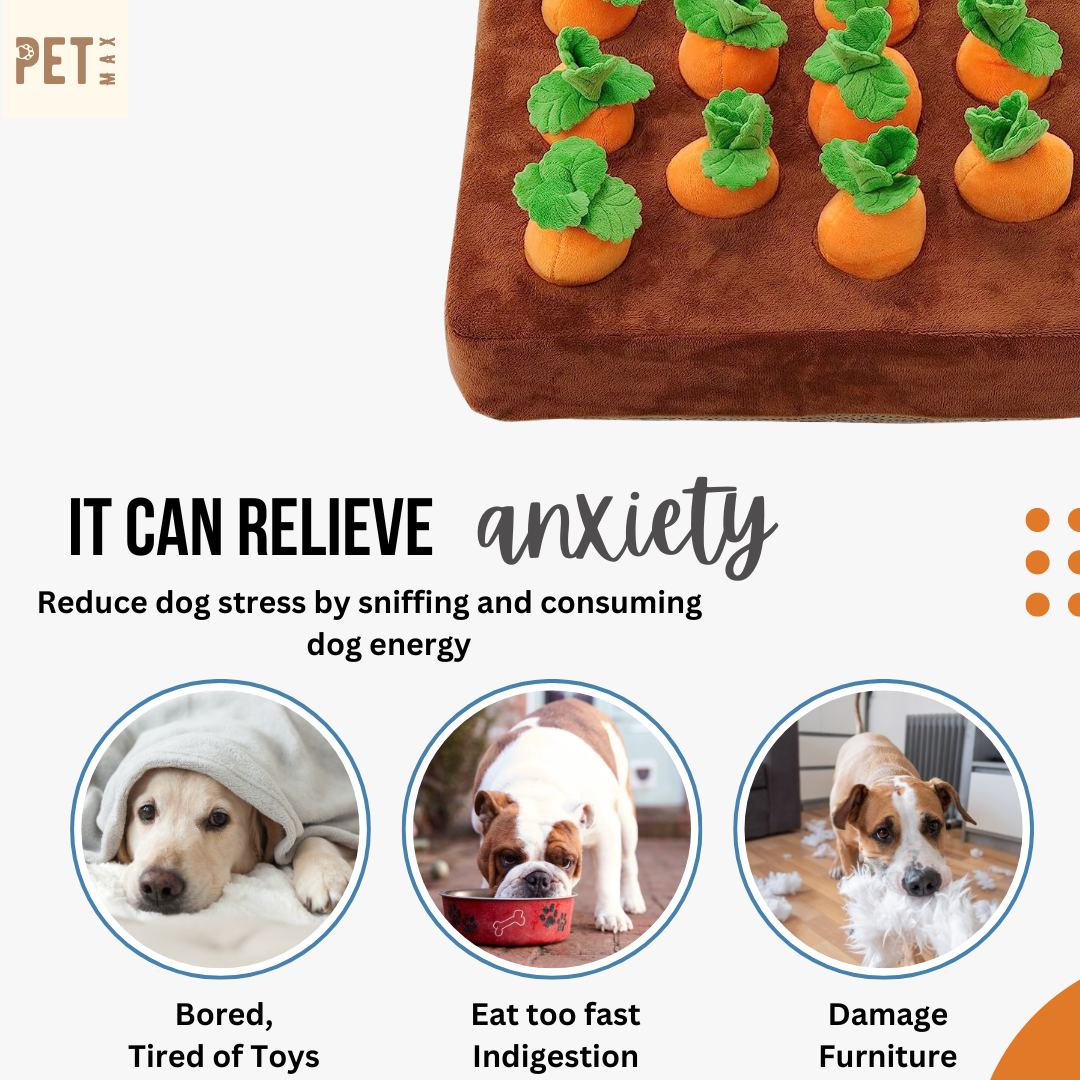 PETMAX Pet Snuffle Mat for Dogs, Stuffed Carrot Plush Feeding Snuffle Mat, Enrichment Pet Foraging mat for Smell Training and Slow Eating, Stress Relief, Dog Puzzle Toys for Small Medium Dogs